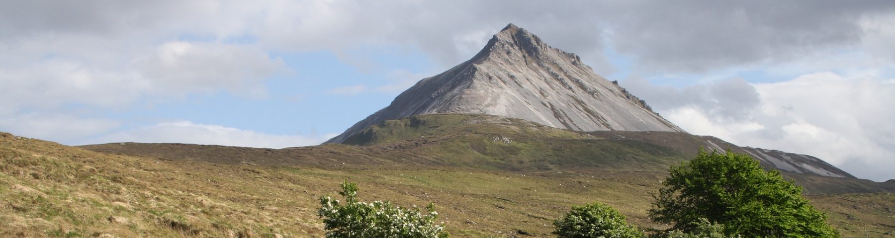 Ciaran Tourish